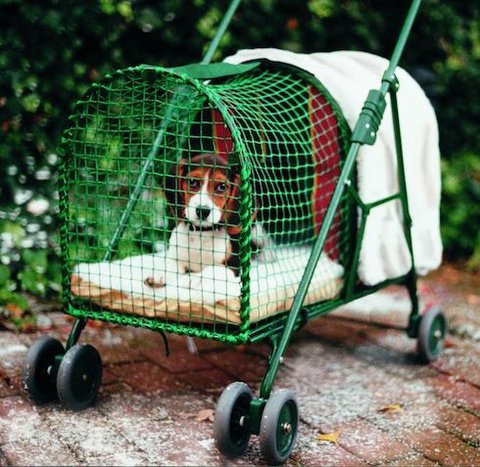 Pet Stroller